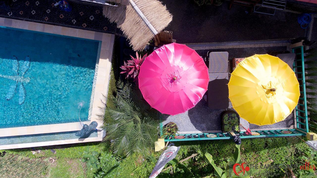 Capung Sakti Villas Ουμπούντ Εξωτερικό φωτογραφία